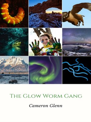 cover image of The Glow Worm Gang